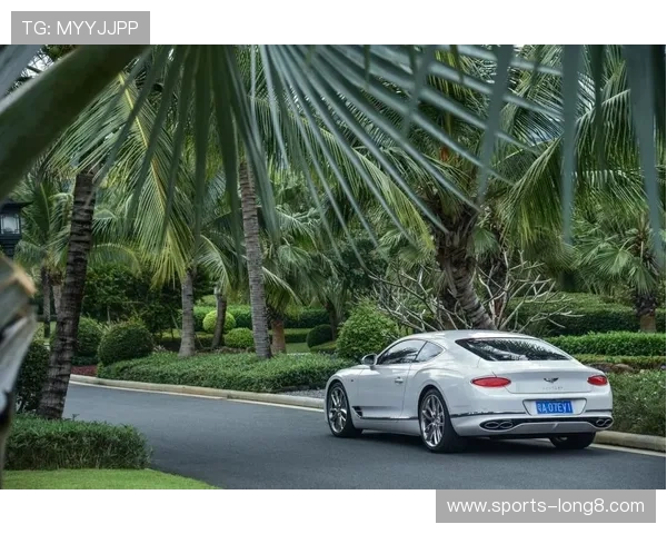 迅速访问飞驰在线官网，享受无缝的在线操作