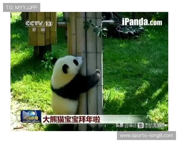 熊猫体育在国际体育赛事中的精彩表现赢得广泛关注,彰显中国体育新实力 熊猫体育在国际体育赛事中的精彩表现赢得广泛关注,彰显中国体育新实力